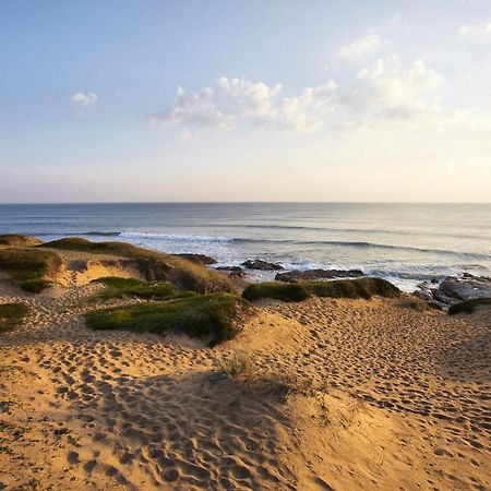 דירות סן-ז'יל-קרואה-דה-וי Le Ponton Bleu Vue Face Au Port מראה חיצוני תמונה